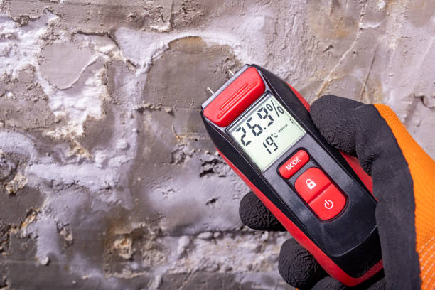 Best Commercial Mold Removal  in Dos Palos, CA