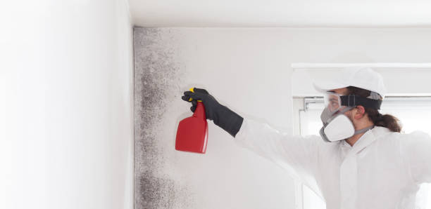 Best Mold Remediation  in Dos Palos, CA