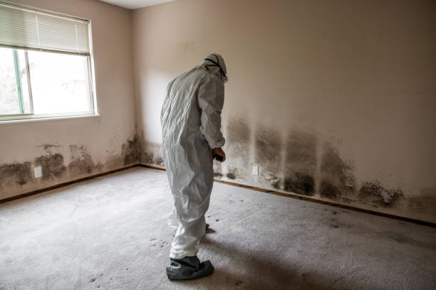 Best Residential Mold Removal  in Dos Palos, CA